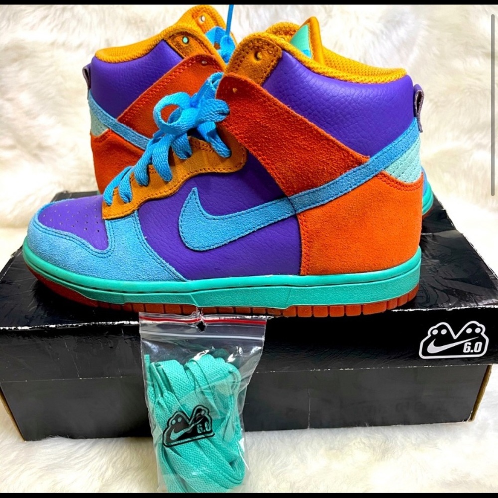 Nike Dunks 6.0
